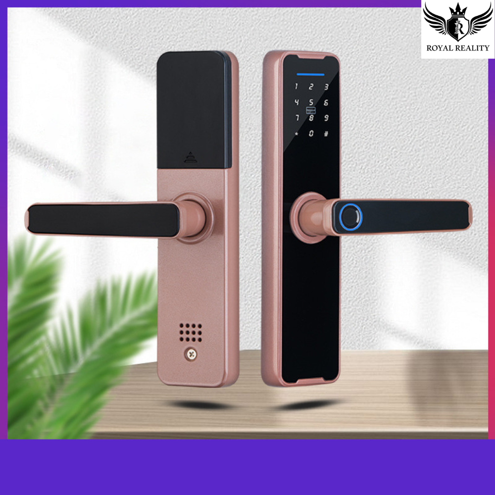 smart lock with illuminated fingerprint recognition panel