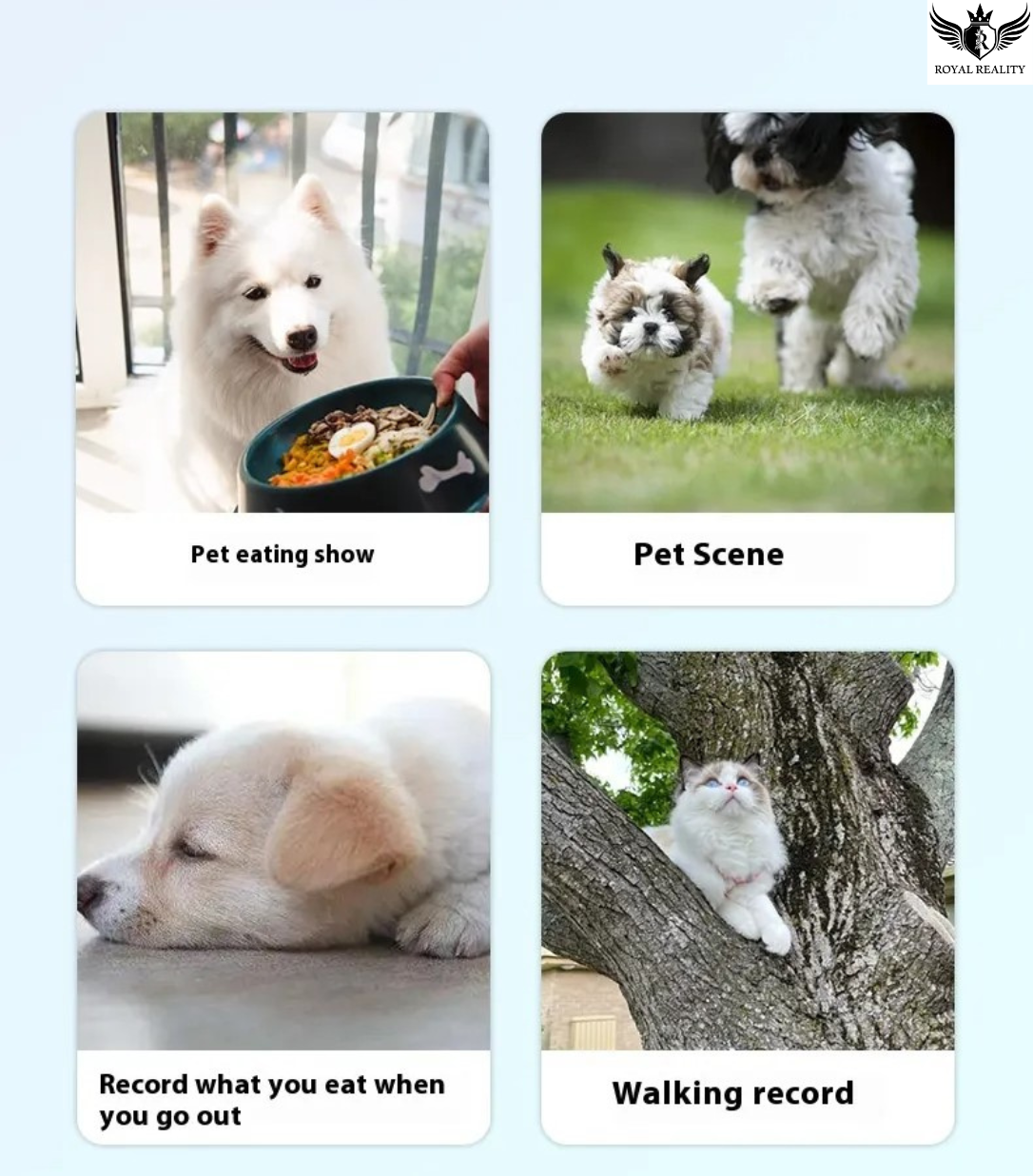 Collage of four images featuring pets in different scenarios with text labels.