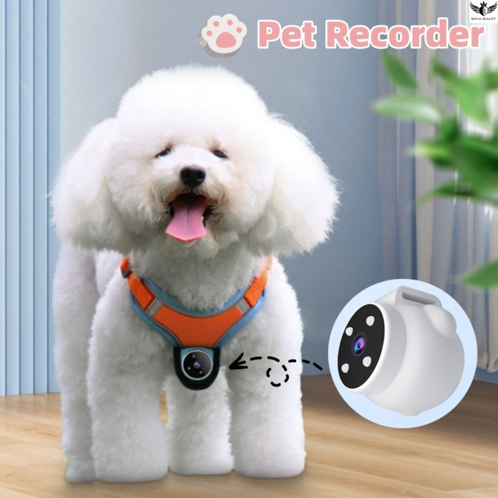 White dog wearing an orange harness with a pet recorder device attached, set against a light blue wall.