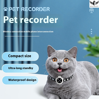 Pet recorder advertisement with a gray cat wearing a collar on a blue background