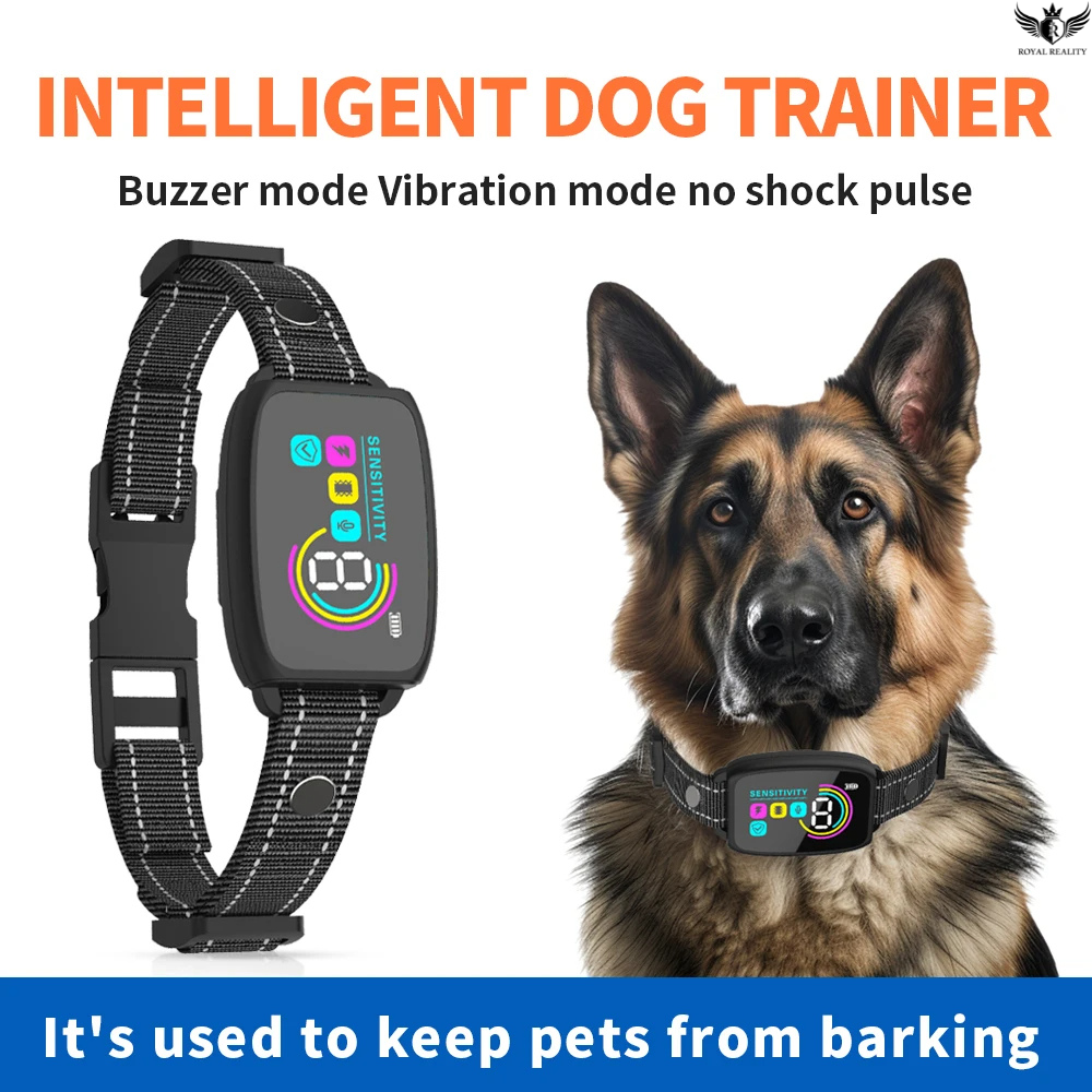 Intelligent dog trainer with a German Shepherd wearing a collar on a white background