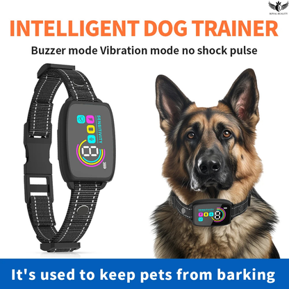 Intelligent dog trainer with a German Shepherd wearing a collar on a white background