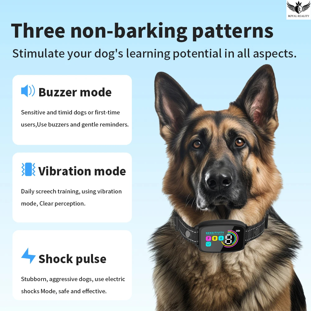 Dog wearing a collar with electronic features and text about non-barking patterns on a blue background.