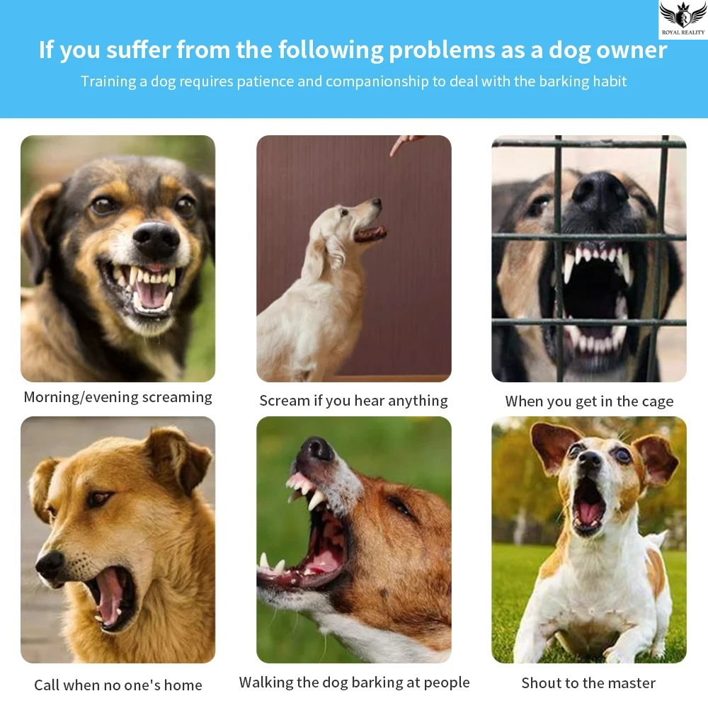 Collage of dogs exhibiting various behavioral issues as a dog owner might face.