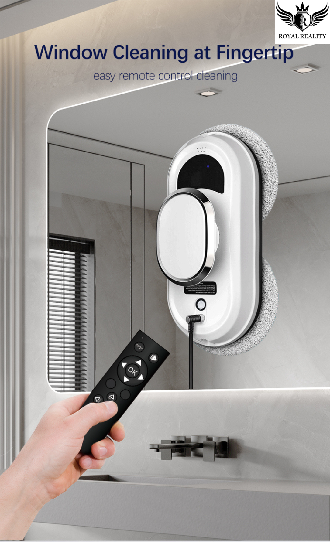 Window cleaning device with remote control on a mirror surface