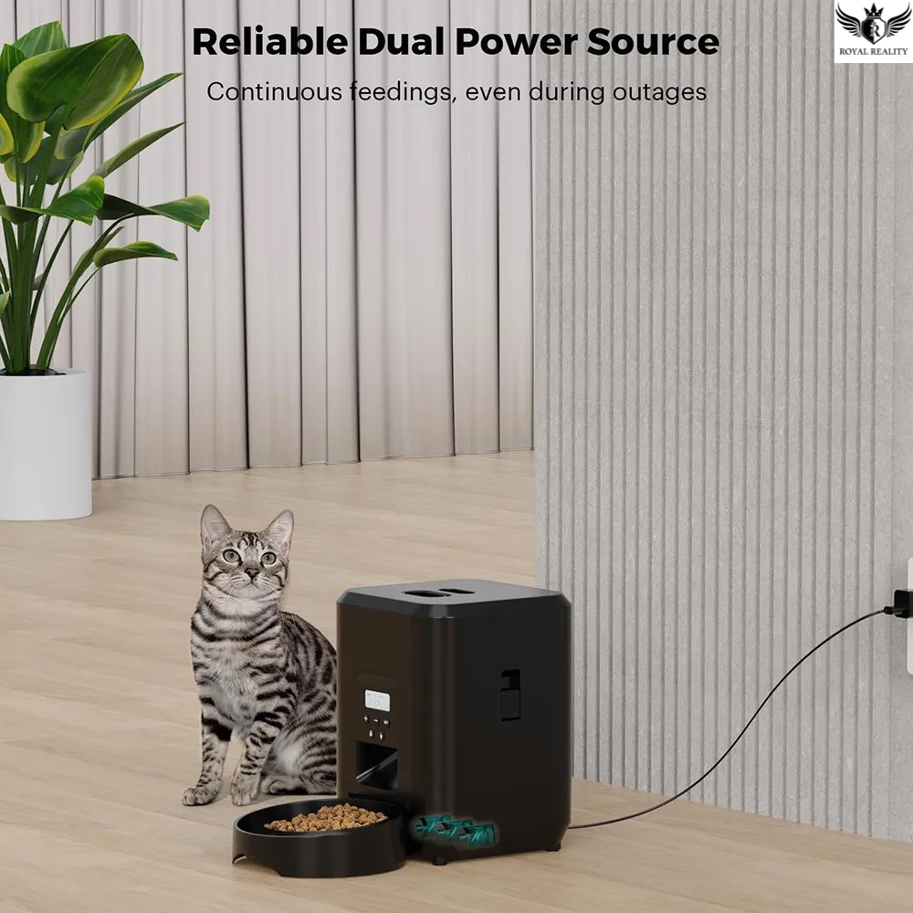 Cat sitting next to a pet feeder with a plant in the background