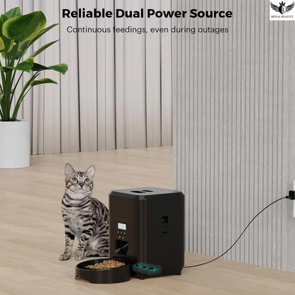 Cat sitting next to a pet feeder with a plant in the background