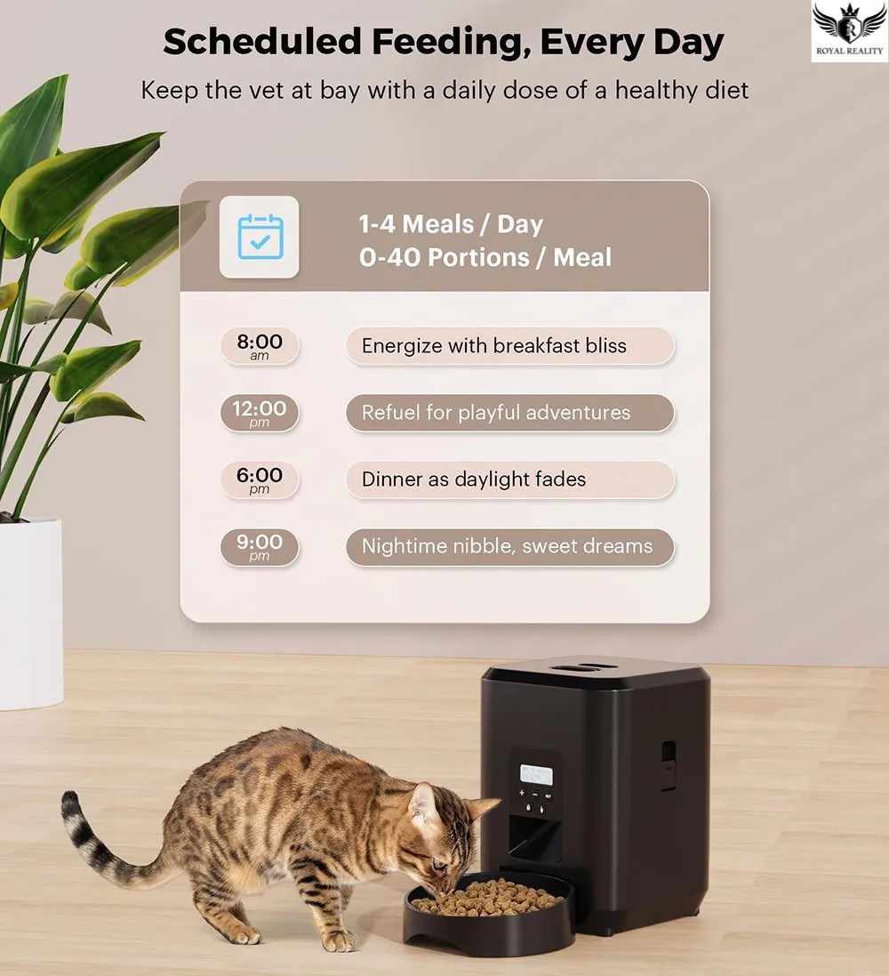 Cat eating from an automatic feeder with a scheduled feeding chart on a wall.