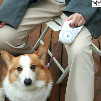 Person holding a dog leash with a corgi sitting next to them on a wooden floor.