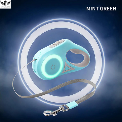 Mint green pet leash and remote control with a dark blue background