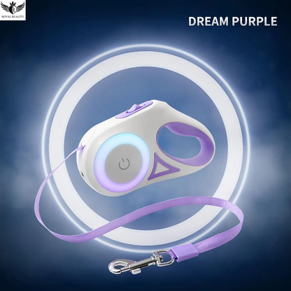 Dog leash and remote control set in dream purple color on a dark blue background