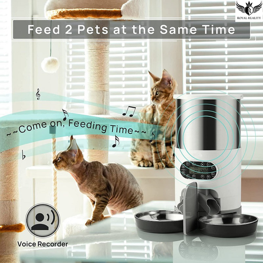 smart pet feeder