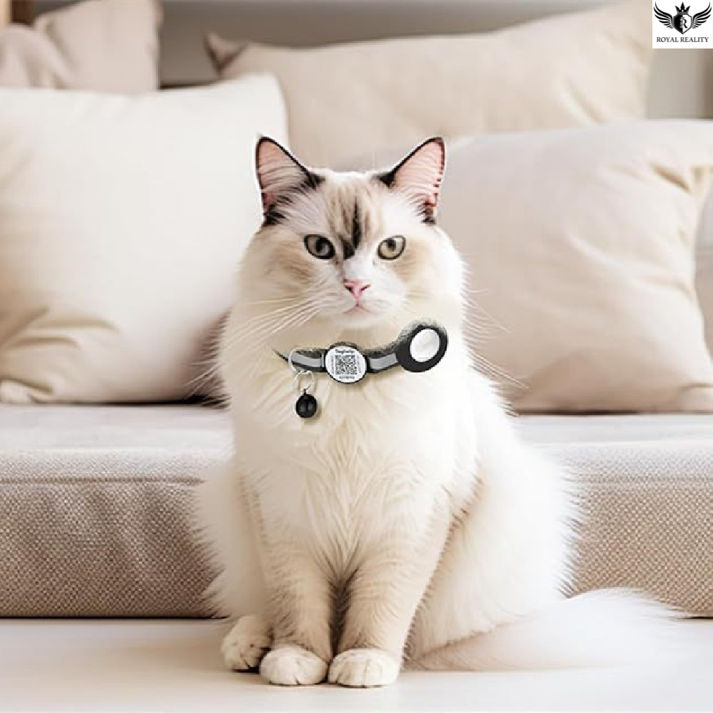 Cat wearing a collar with a tag on a beige couch