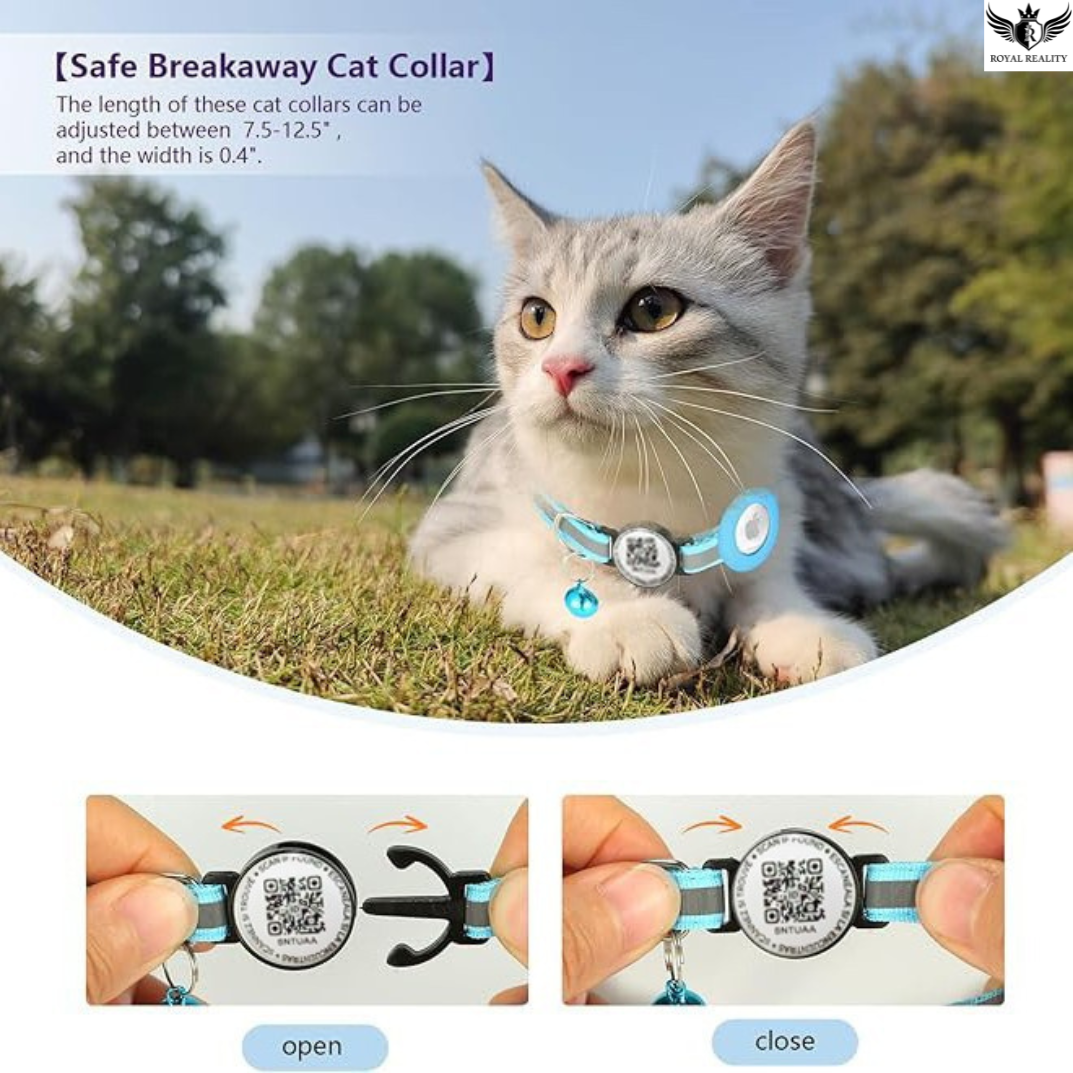 Cat wearing a blue breakaway cat collar with QR code tag, sitting on grass.